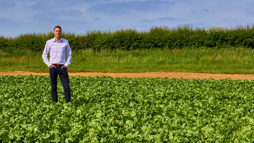 Robert Langmead, Chichester Food Park, locally grown lettuce